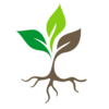 Website icon for heavenlyseed.net