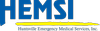 Website icon for hemsi.org