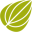 Website icon for herbalremediesadvice.org