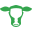 Website icon for hopdoddy.com