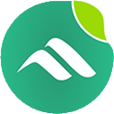 Website icon for iboysoft.com
