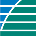 Website icon for icer-review.org