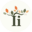 Website icon for iimn.org