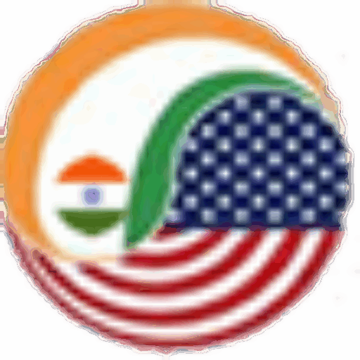 Website icon for indonewyork.com