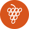 Website icon for israelbooks.com