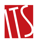 Website icon for itstravelsgroup.com