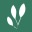 Website icon for ivytutoring.net