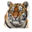 Website icon for kanha-national-park.com