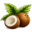 Website icon for keeshaskitchen.com