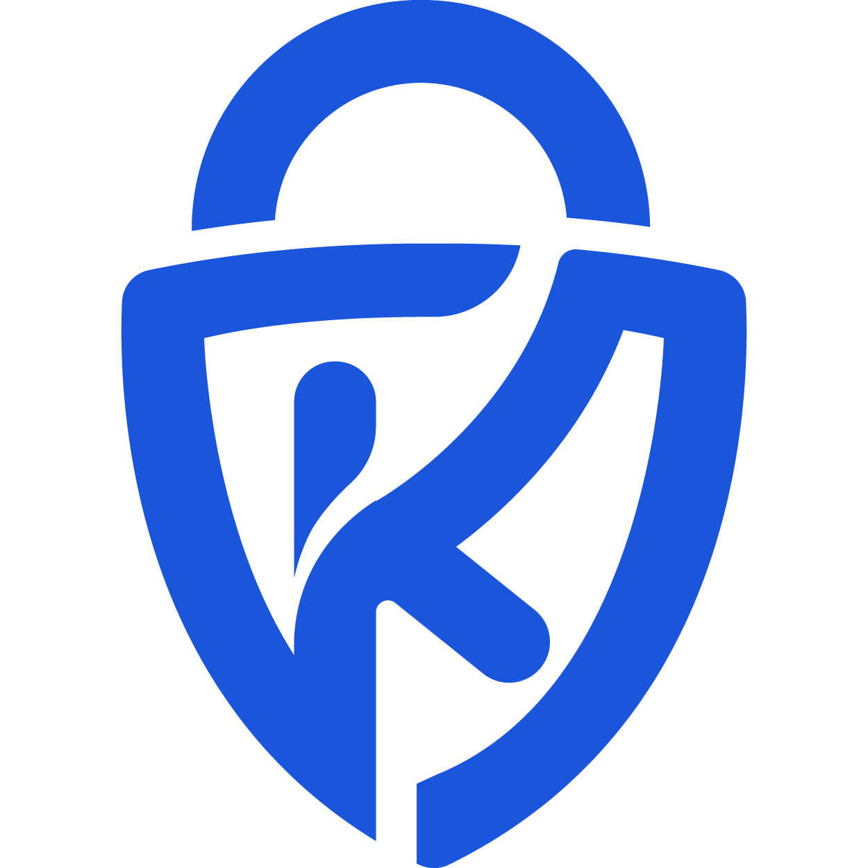 Website icon for keyauth.cc