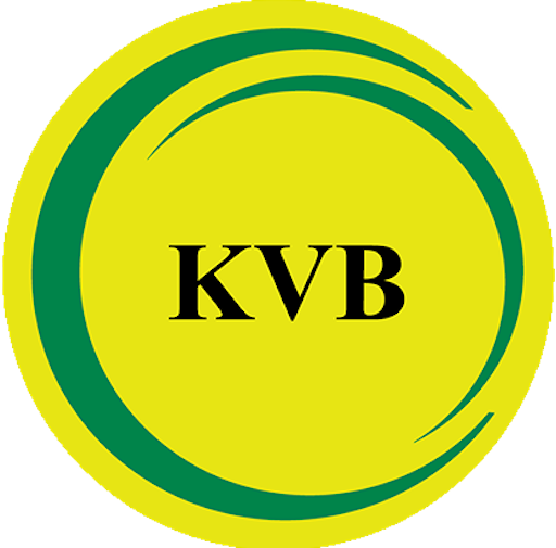 Website icon for kvb.bank.in