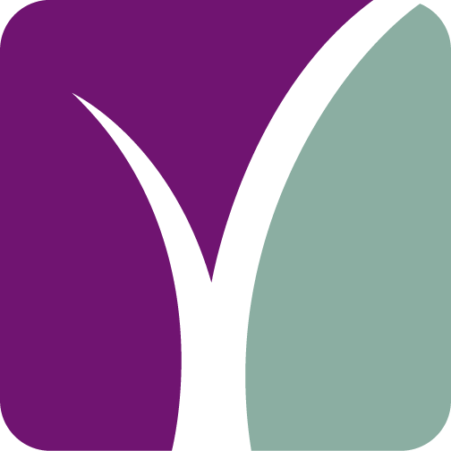 Website icon for lanermc.org
