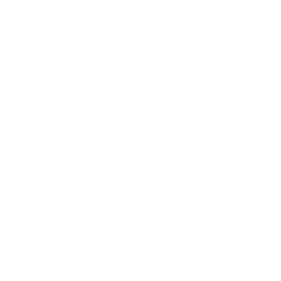 Website icon for lean-fro.org
