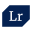 Website icon for leftrightcorp.com