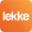 Website icon for lekkeslaap.co.za
