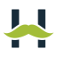 Website icon for lfchosting.com
