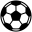 Website icon for lightfootforchicago.com