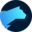 Website icon for lightrun.com