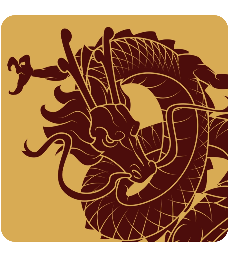 Website icon for linabobarditogether.com
