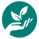 Website icon for livelearn.org