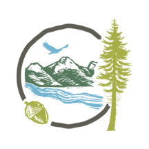 Website icon for lomakatsi.org
