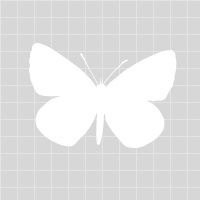 Website icon for malayali.me