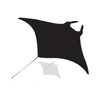 Website icon for mantatrust.org