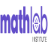 Website icon for mathlabinstitute.com