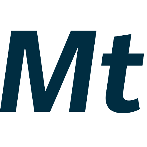 Website icon for meteotest.ch