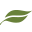Website icon for metroparks.org