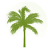 Website icon for midcarolinacu.com