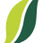 Website icon for mmjdaily.com