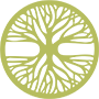 Website icon for mnwitw.org