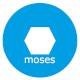 Website icon for moses-ai.com