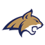 Website icon for msubobcats.com