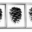 Website icon for nacogdoches.org