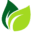 Website icon for naturalremedyideas.com