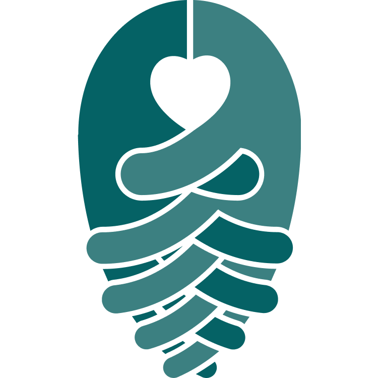 Website icon for nccommunityfoundation.org