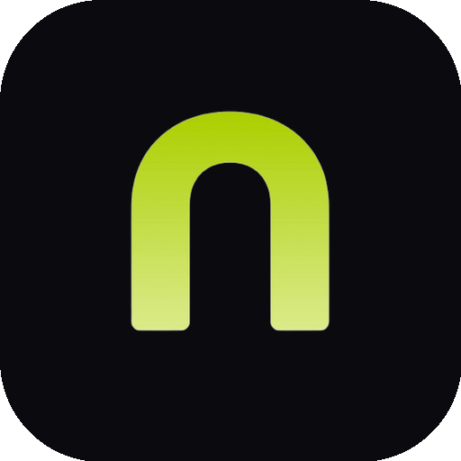 Website icon for netizency.com
