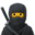Website icon for netninja.com