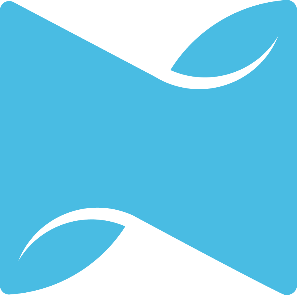 Website icon for netzilo.com