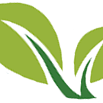 Website icon for newbodydietplan.com