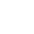 Website icon for newtonx.com