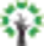 Website icon for nexteducation.in