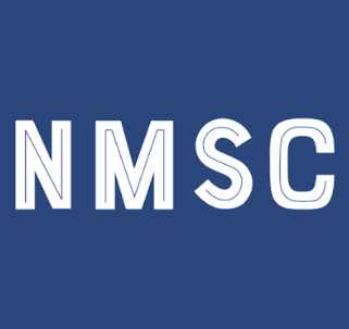 Website icon for nextmsc.com