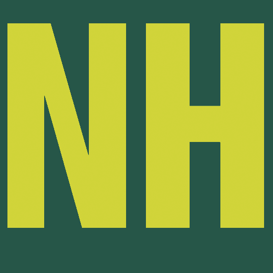 Website icon for nhbr.com