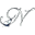 Website icon for nightwish.com