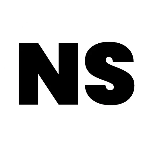 Website icon for nityasoul.com
