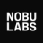 Website icon for nobulabs.com