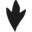Website icon for nomady.camp